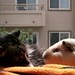 Katina Long Photo 8