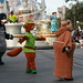 Robin Disney Photo 16