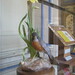Paul Nixon Photo 44