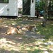 Sandy Willie Photo 9