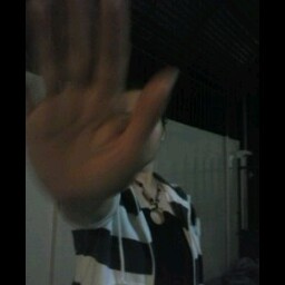 Glenn Austin Photo 13