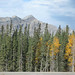 Victoria Hinton Photo 16