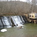 Scott Pigg Photo 16