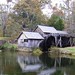 Patrick Mabry Photo 10