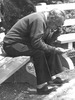 Wayne Levy Photo 19