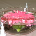 Cathy Mills Photo 28