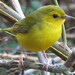 Vicki Cline Photo 17