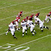 Dan Connor Photo 34