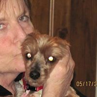 Marilyn Summers Photo 27