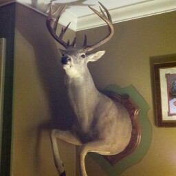 Preston Walters Photo 35