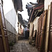 Yan Gu Photo 26