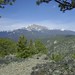Roosevelt Meeks Photo 10