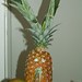 Nicole Craft Photo 16