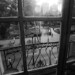 Joyce Rittenhouse Photo 6