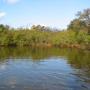William Gaskins Photo 37