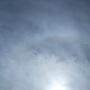 Susan Crain Photo 36