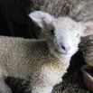 Heather Baylis Photo 10