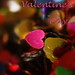 Lina Valentine Photo 13