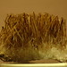 Crystal Samples Photo 10