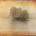 Dawn Potter Photo 20