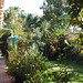 Susan Guest Photo 28