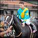Stephen Mullins Photo 43