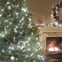 Debra Zimmer Photo 18