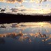 Dawn Murray Photo 11