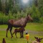 Mark Cowley Photo 27
