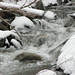 Wanda Brooks Photo 16