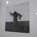 Keith Sharp Photo 19