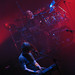 Steven Gavin Photo 17