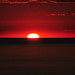 Sun Smith Photo 16