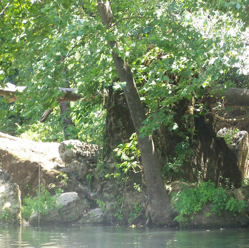 Heather Wilson Photo 18