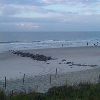 Sue Dicicco Photo 10