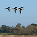 Brent Hurst Photo 19