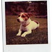 Colleen Good Photo 20