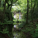 William Galle Photo 12