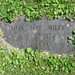 Eleanor Wiley Photo 8