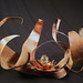 Kathryn Duffield Photo 6