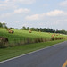 Allen Hays Photo 9