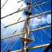 Stephen Mast Photo 21