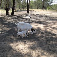 Lois Whittaker Photo 7