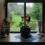 Cathy Andersen Photo 7