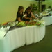 Steven Duvall Photo 18