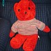 Scottie Short Photo 6