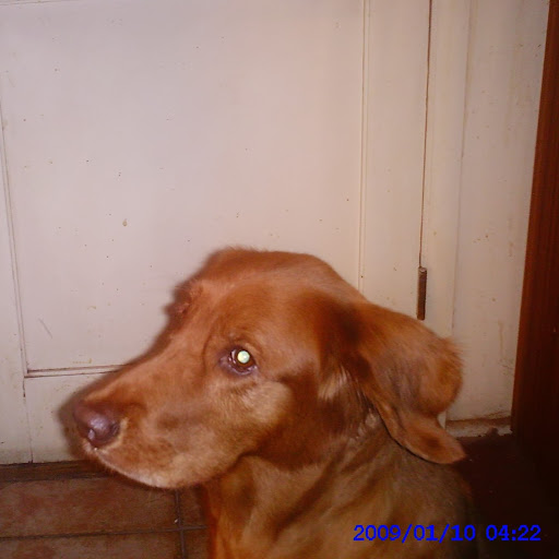 Kimberly Swindle Photo 2