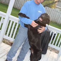 Jerry Webb Photo 5