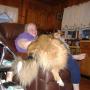 Patricia Dougherty Photo 44