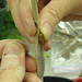 John Griffis Photo 9